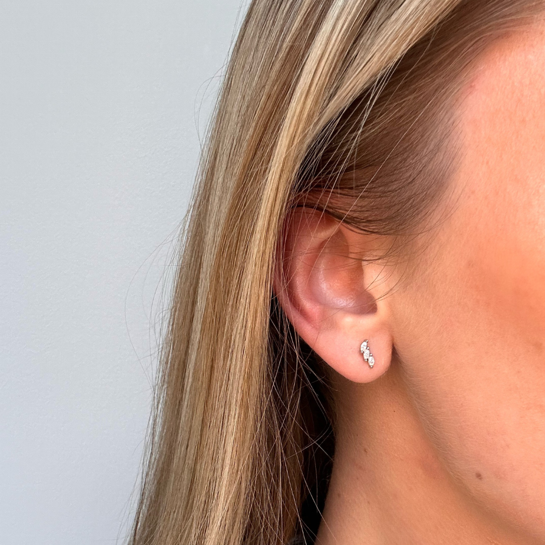 Leaf Zirconia Stud Earrings
